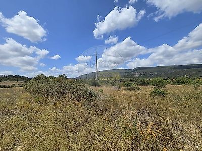listing-picture-0