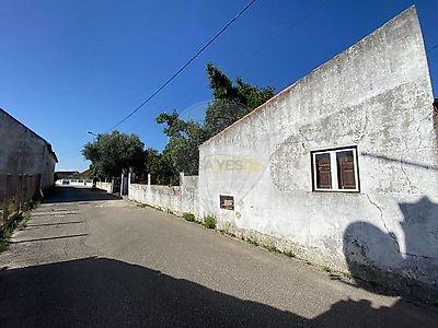 listing-picture-0