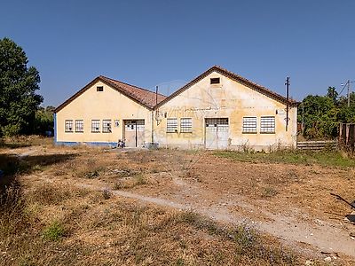 listing-picture-0