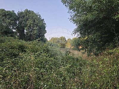 listing-picture-0