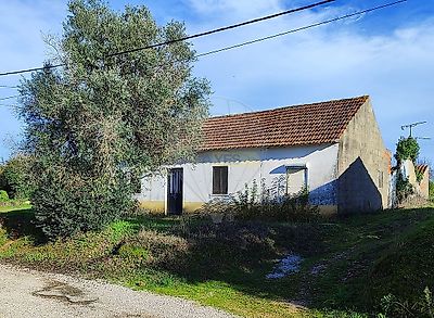 listing-picture-0