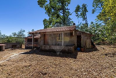 listing-picture-0