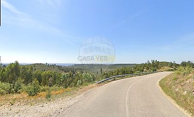 listing-picture-0