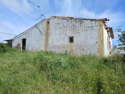 listing-picture-0