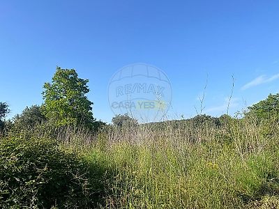 listing-picture-0