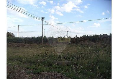 listing-picture-0