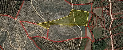 listing-picture-0