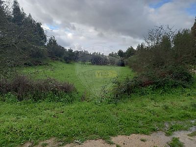 listing-picture-0