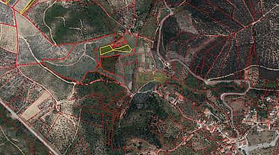 listing-picture-0