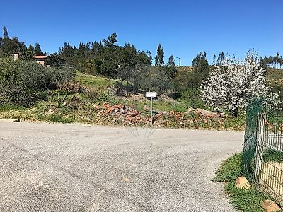listing-picture-0