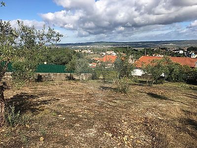 listing-picture-0
