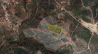 listing-picture-0