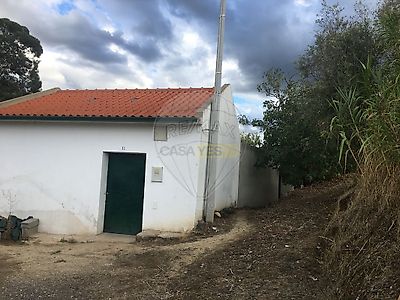 listing-picture-0