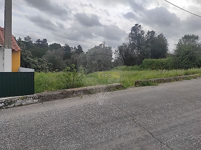 listing-picture-0