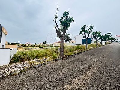 listing-picture-0