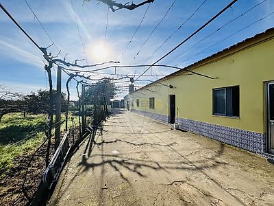 listing-picture-0