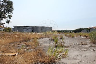 listing-picture-0