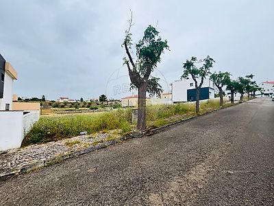 listing-picture-0