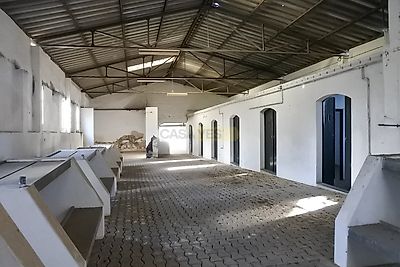 listing-picture-0
