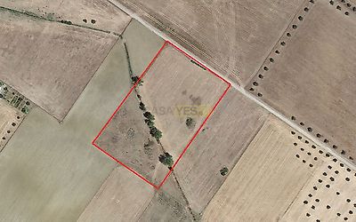 listing-picture-0