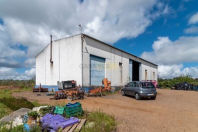 listing-picture-0