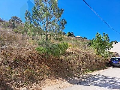 listing-picture-0