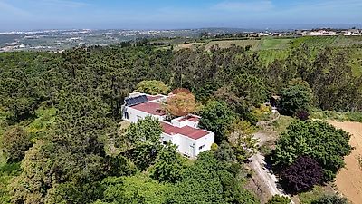listing-picture-0