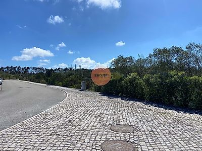 listing-picture-0