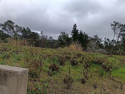 listing-picture-0