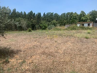listing-picture-0