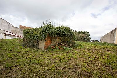 listing-picture-0