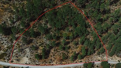 listing-picture-0