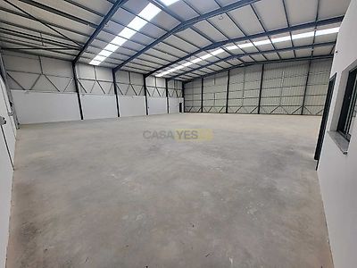 listing-picture-0