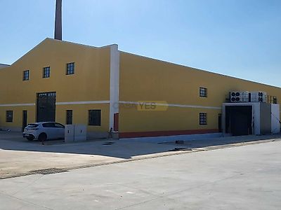 listing-picture-0