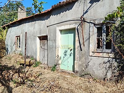 listing-picture-0