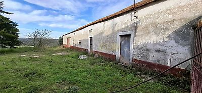 listing-picture-0