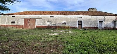 listing-picture-0