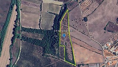 listing-picture-0