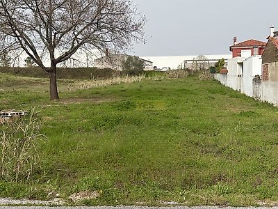 listing-picture-0