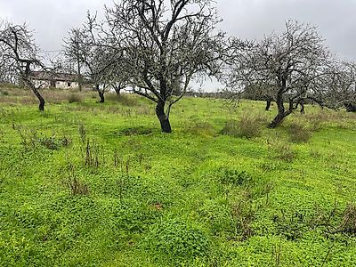 listing-picture-0