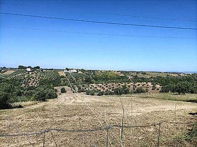 listing-picture-0