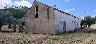 listing-picture-0