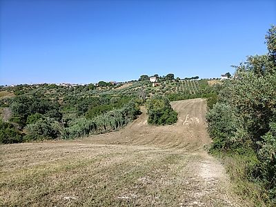 listing-picture-0
