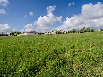 listing-picture-0