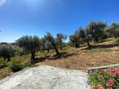 listing-picture-0