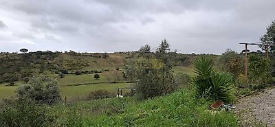 listing-picture-0