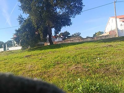 listing-picture-0