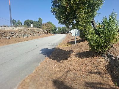 listing-picture-0