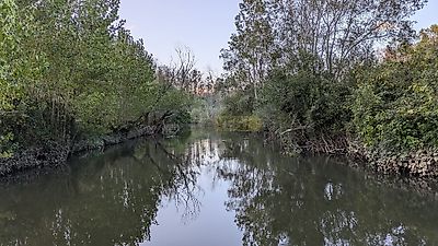 listing-picture-0