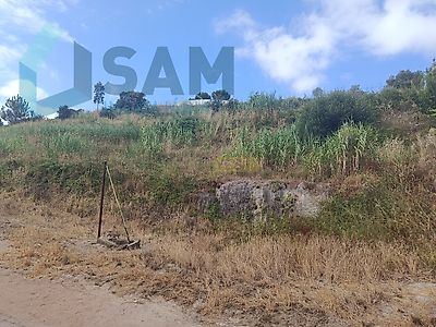 listing-picture-0